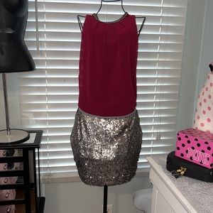 Express |  silver skirt